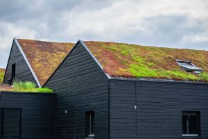 Home with an eco-friendly green roof